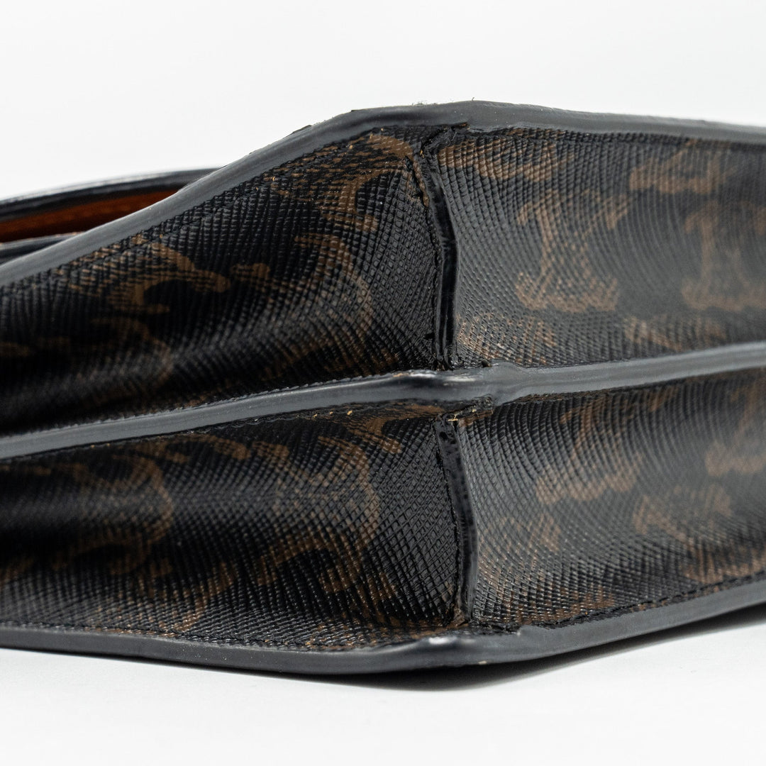 Celine Wallet on strap Triomphe Canvas / Smooth Lambskin Tan