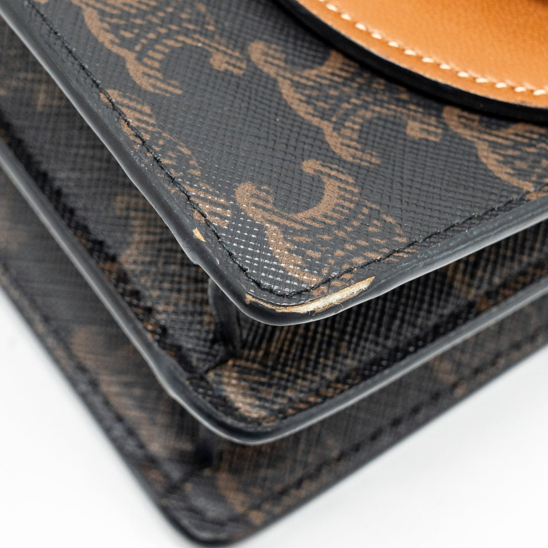 Top Quality Celine Wallet on strap Triomphe Canvas / Smooth Lambskin Tan
