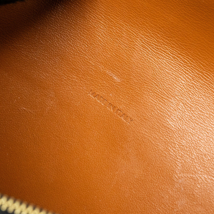 Top Quality Celine Wallet on Strap Triomphe Canvas/Smooth Lambskin TAN