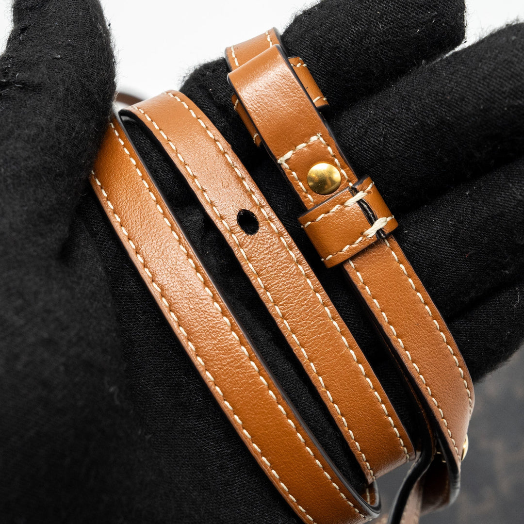 Celine Wallet on Strap Triomphe Canvas/Smooth Lambskin TAN