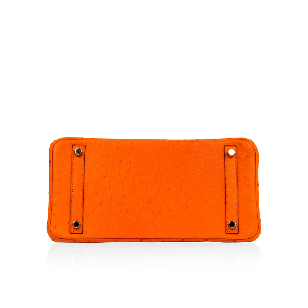 Birkin 30 - Ostrich