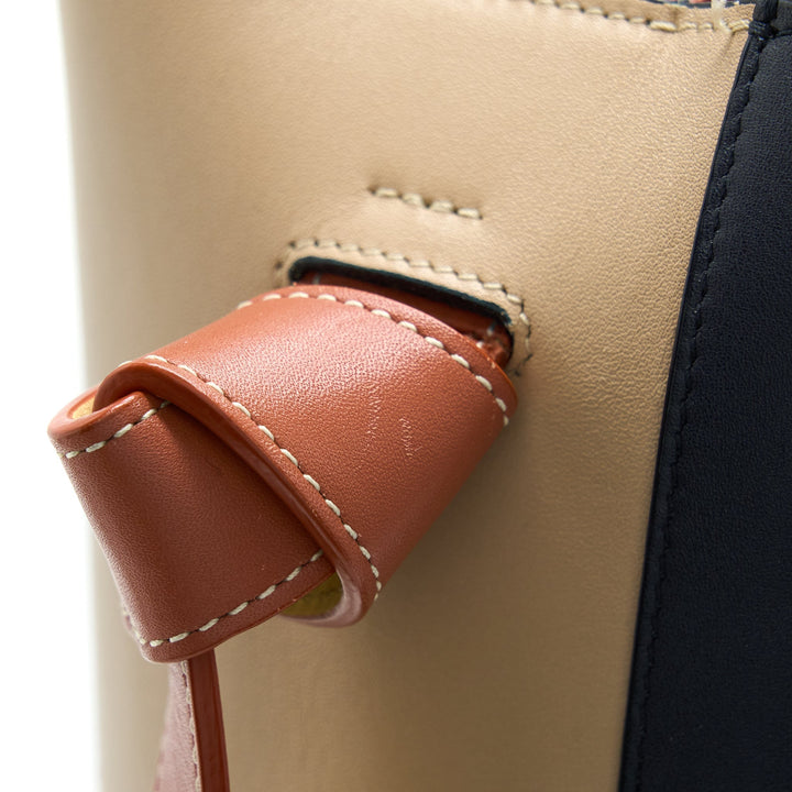 Top Quality Celine Small Twisted Cabas Tote Multicoloured