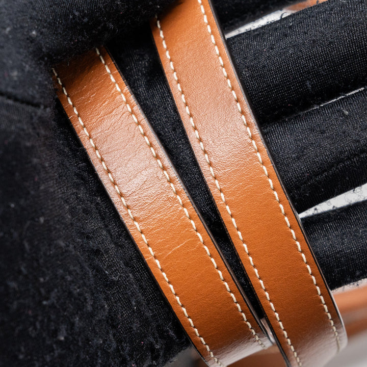 Celine Vertical Cabas Triomphe Canvas/ Leather