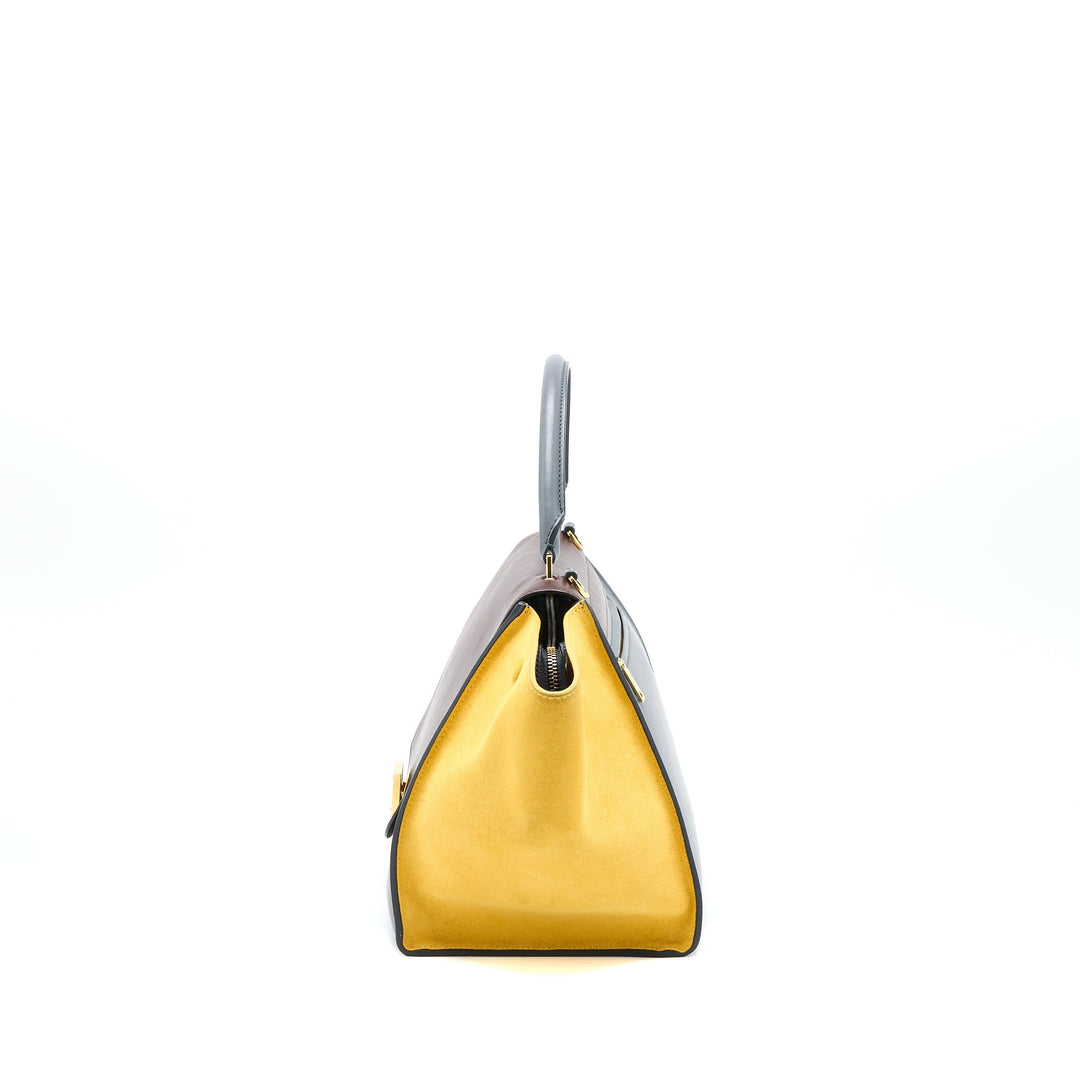Top Quality Celine Trapeze Bag Multicoloured