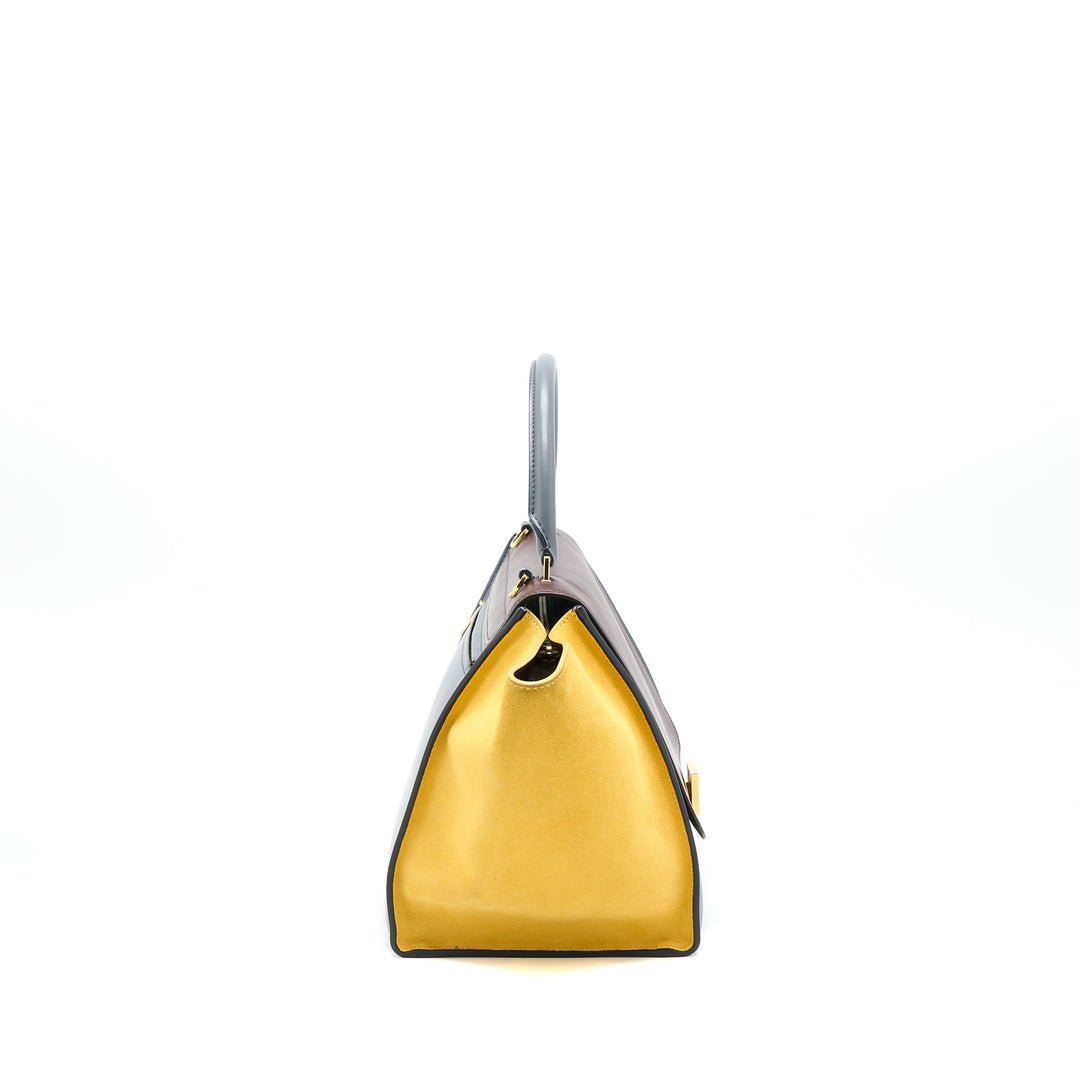 Top Quality Celine Trapeze Bag Multicoloured
