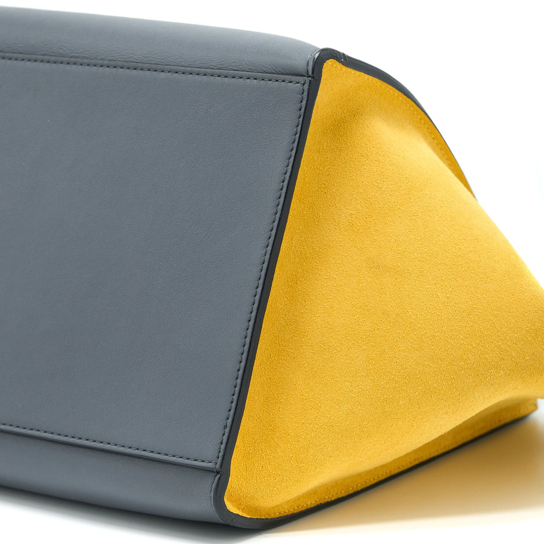 Top Quality Celine Trapeze Bag Multicoloured