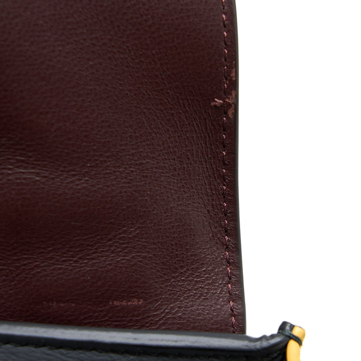 Top Quality Celine Trapeze Bag Multicoloured