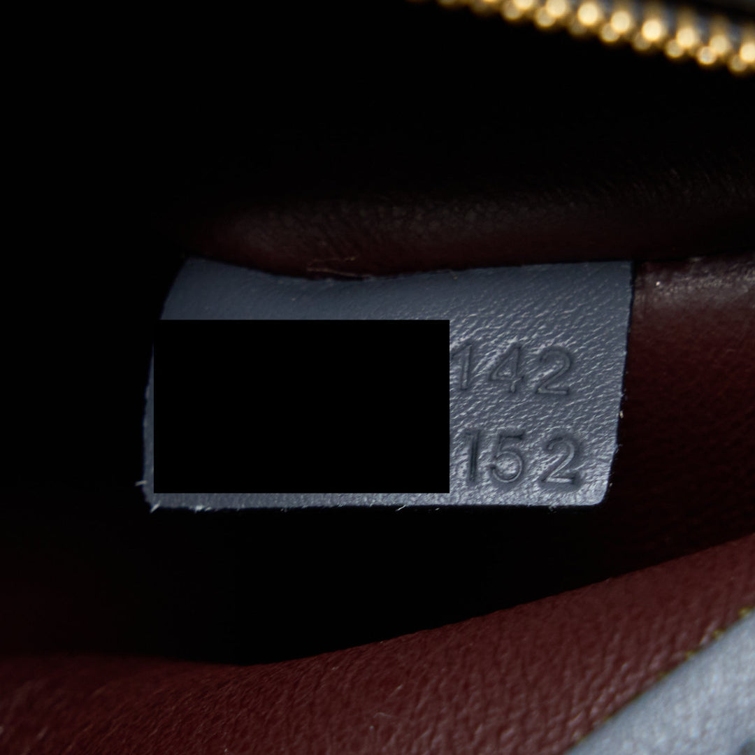 Top Quality Celine Trapeze Bag Multicoloured