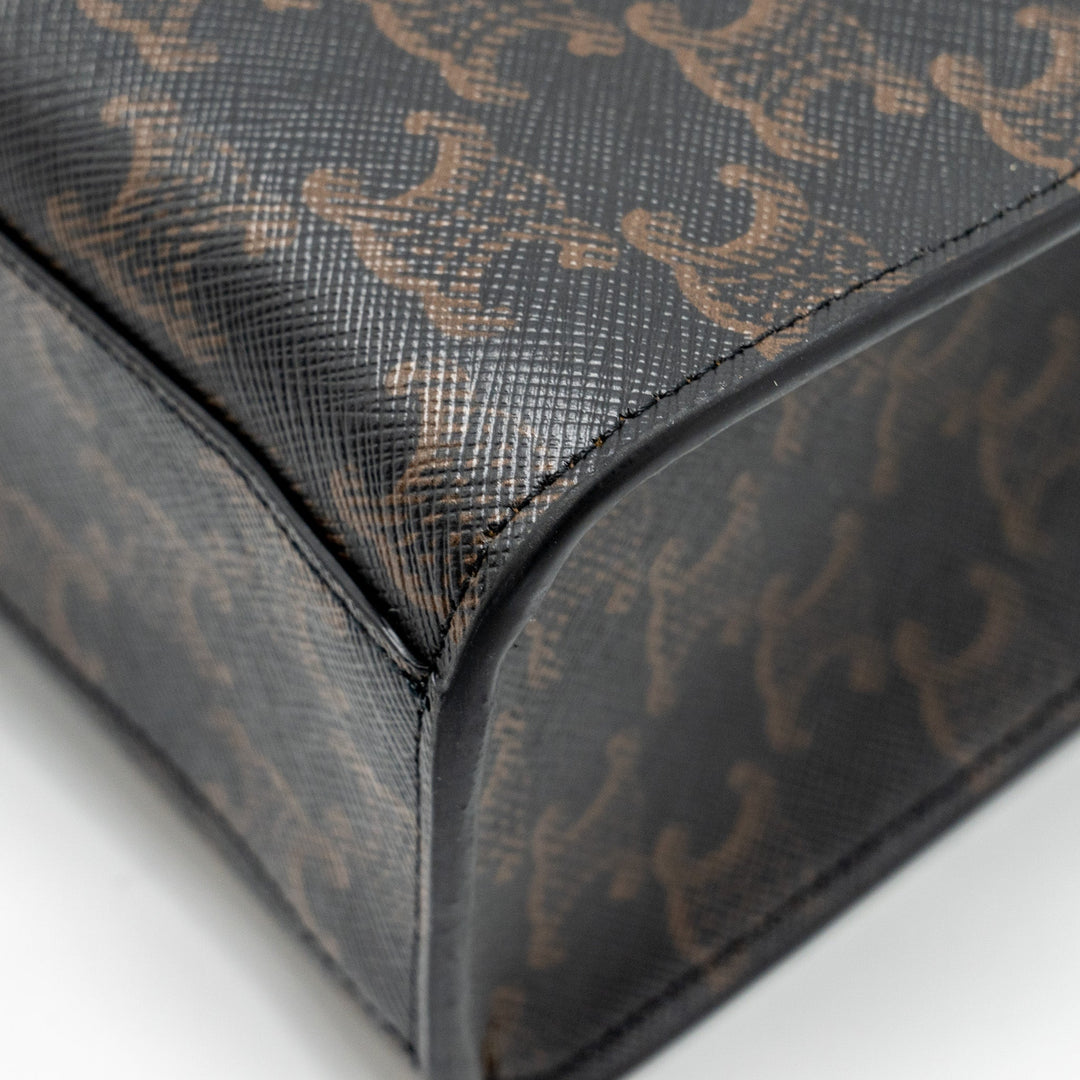 Top Quality Celine Vertical Cabas in Triomphe Canvas Black / Multicolour