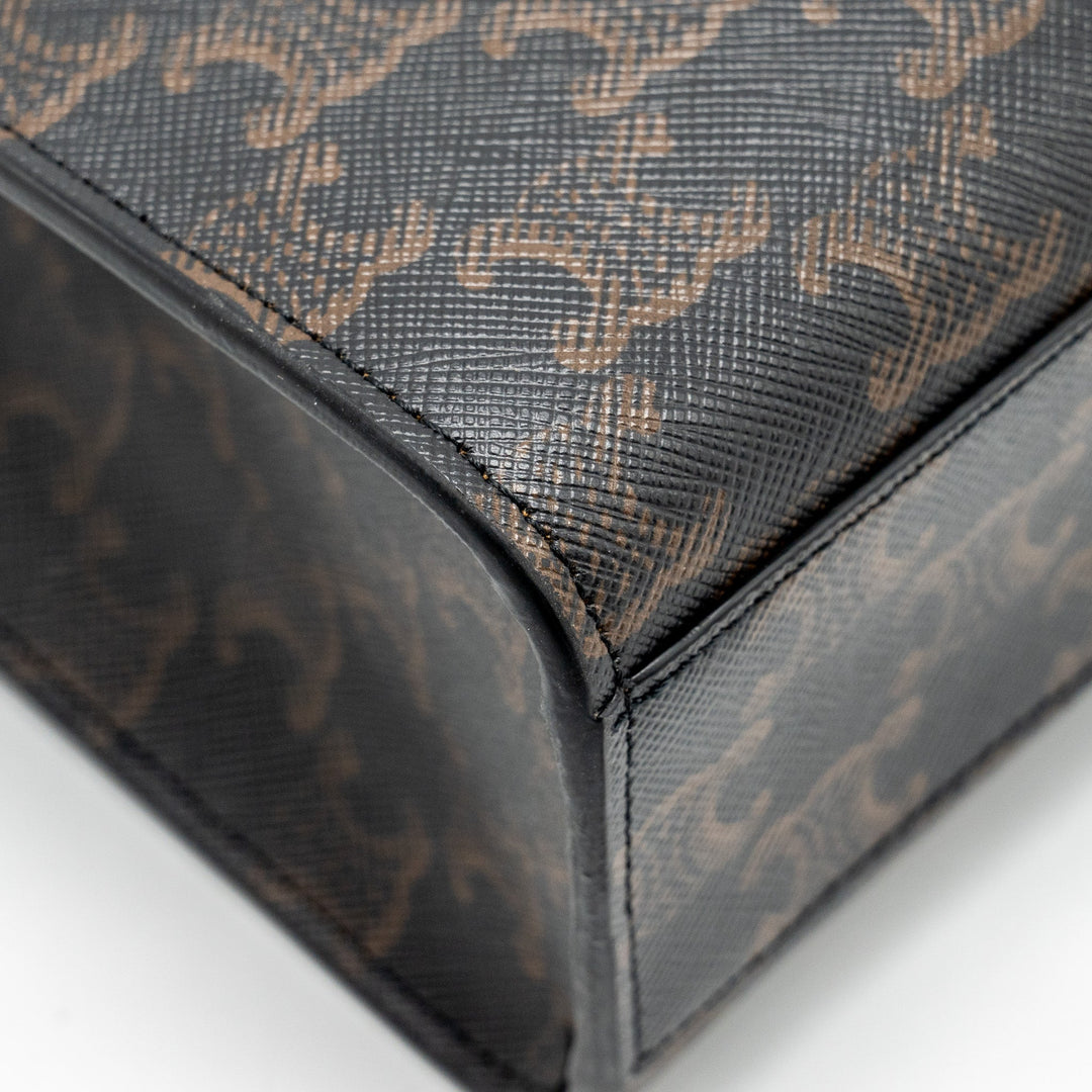 Top Quality Celine Vertical Cabas in Triomphe Canvas Black / Multicolour