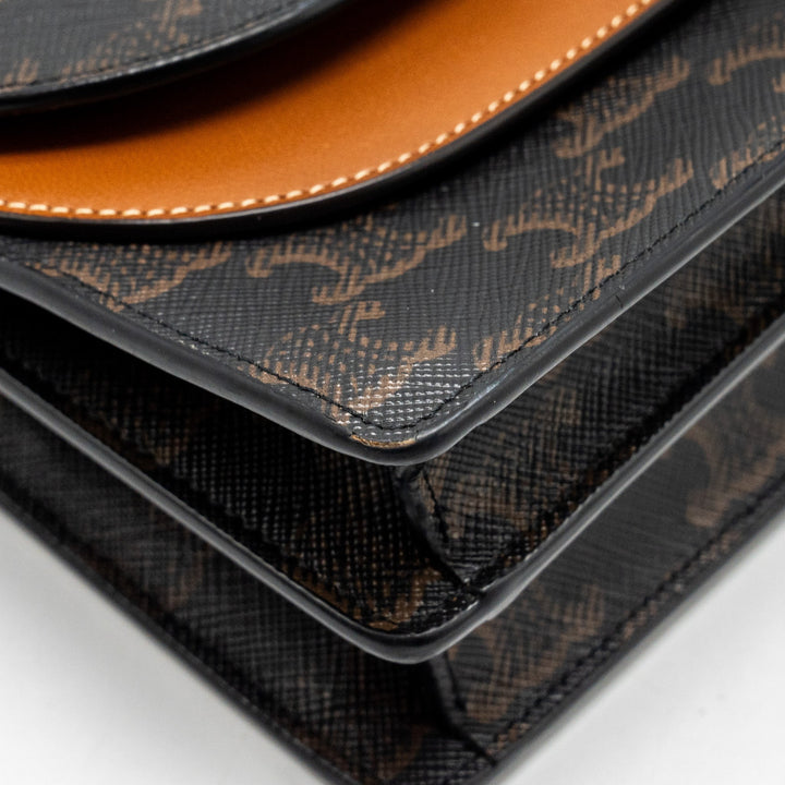 Top Quality Celine Wallet on Strap Triomphe Canvas/Smooth Lambskin Tan