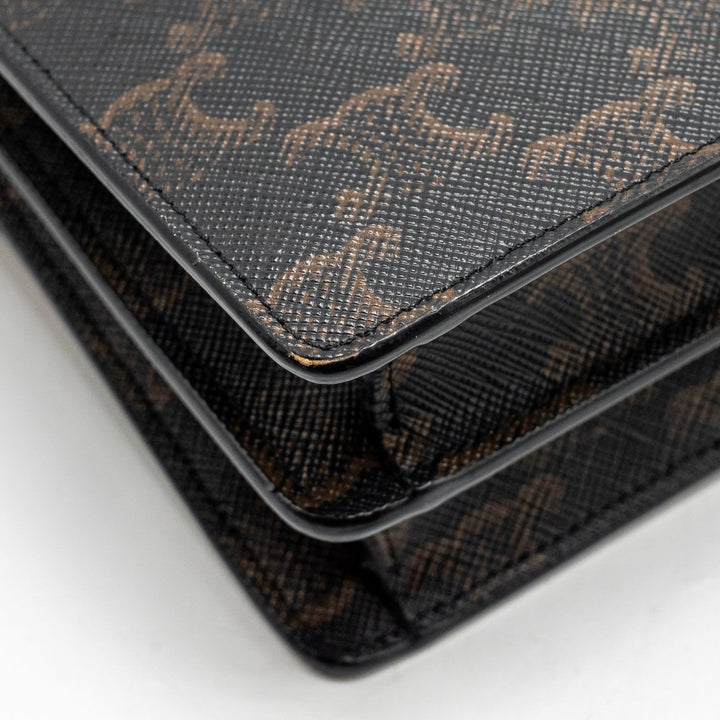 Top Quality Celine Wallet on Strap Triomphe Canvas/Smooth Lambskin Tan