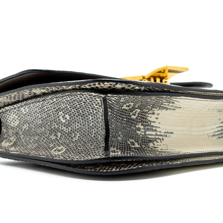 Celine Medium Box Lizard Natural