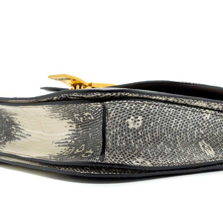 Celine Medium Box Lizard Natural