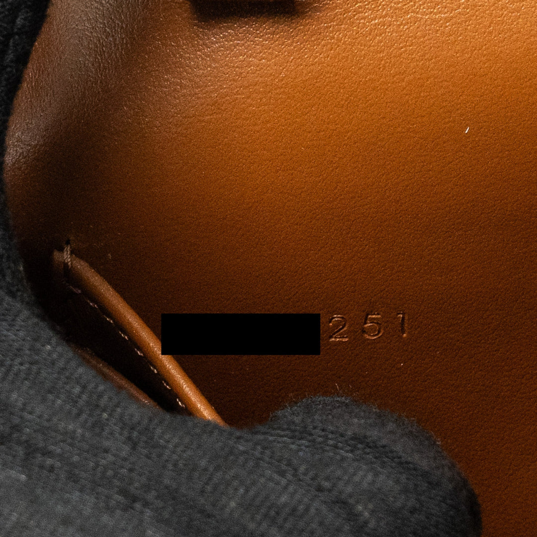 Top Quality Celine Wallet on Strap Triomphe Canvas/Smooth Lambskin Tan