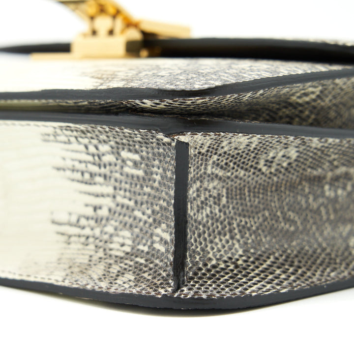 Top Quality Celine Teen Classic bag Lizard
