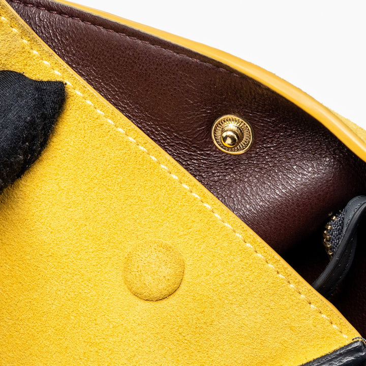 Celine Trapeze Bag Multicoloured
