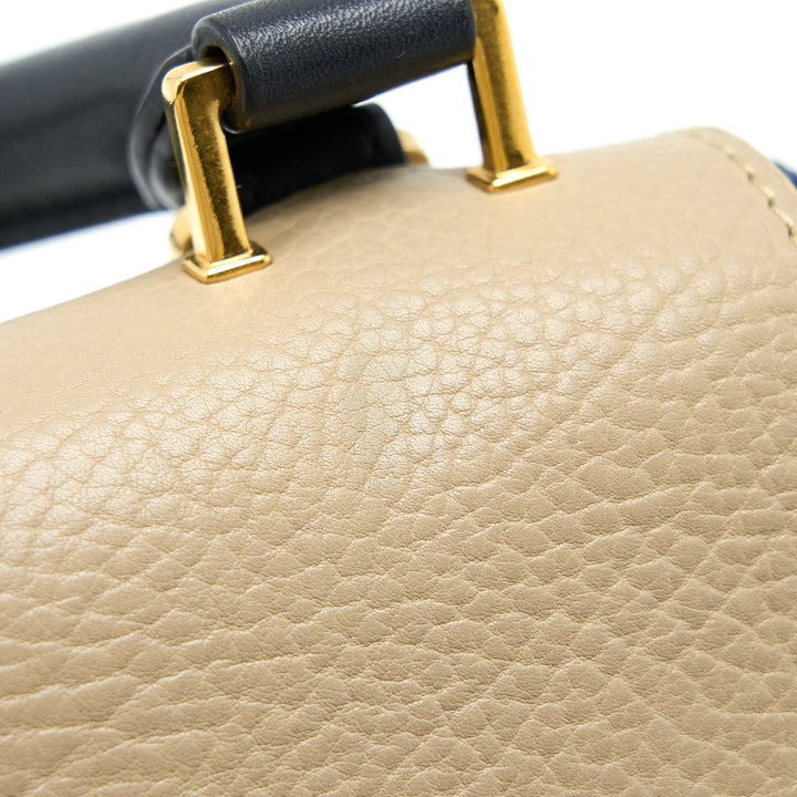 Top Quality Celine Trapeze Bag Multicolour