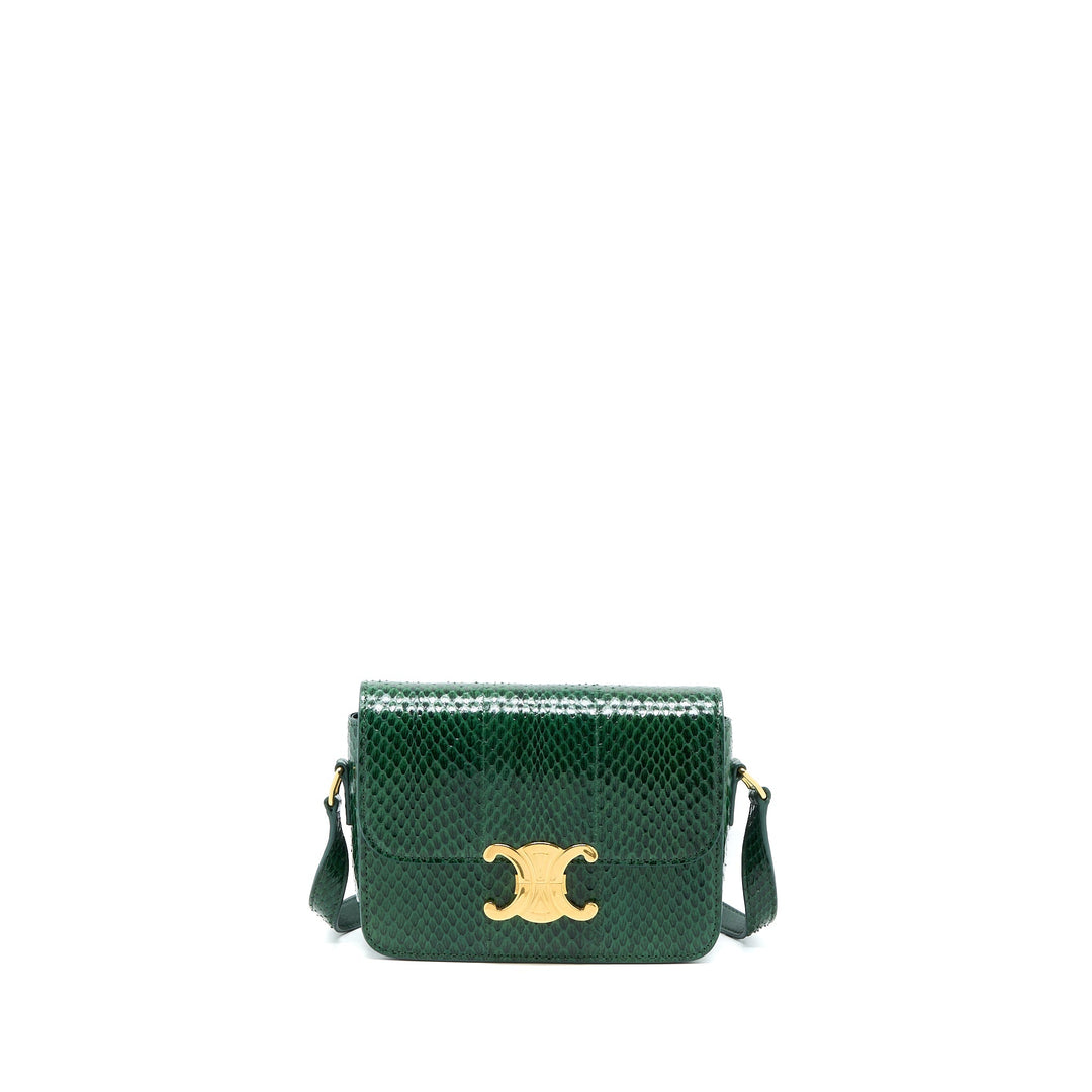 Top Quality Celine Triomphe Bag Water Snake Leather Green