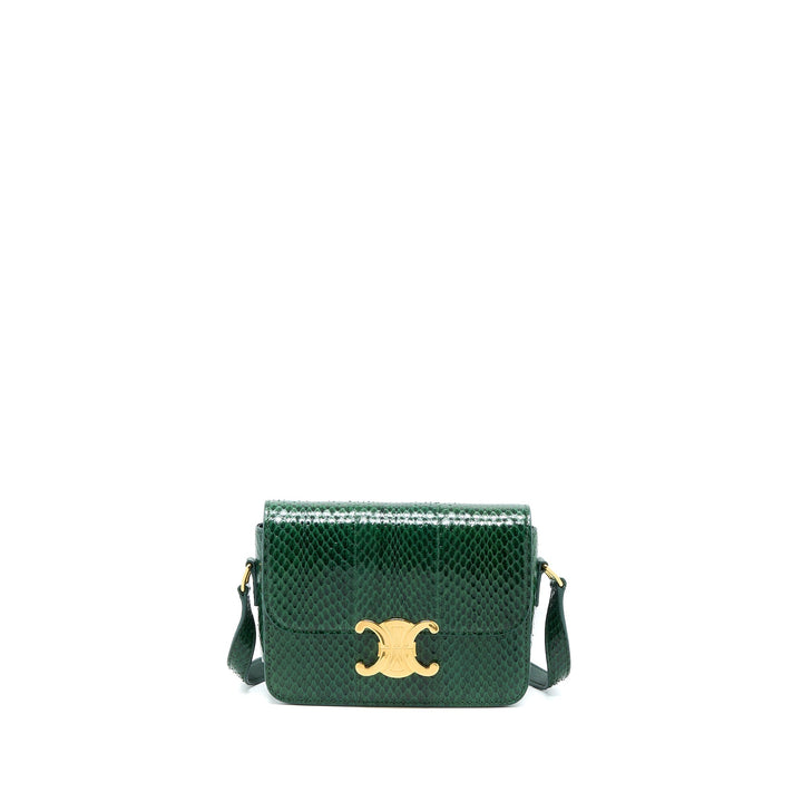 Top Quality Celine Triomphe Bag Water Snake Leather Green