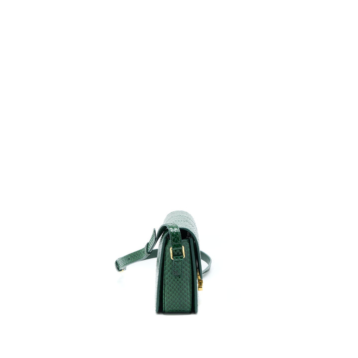 Top Quality Celine Triomphe Bag Water Snake Leather Green