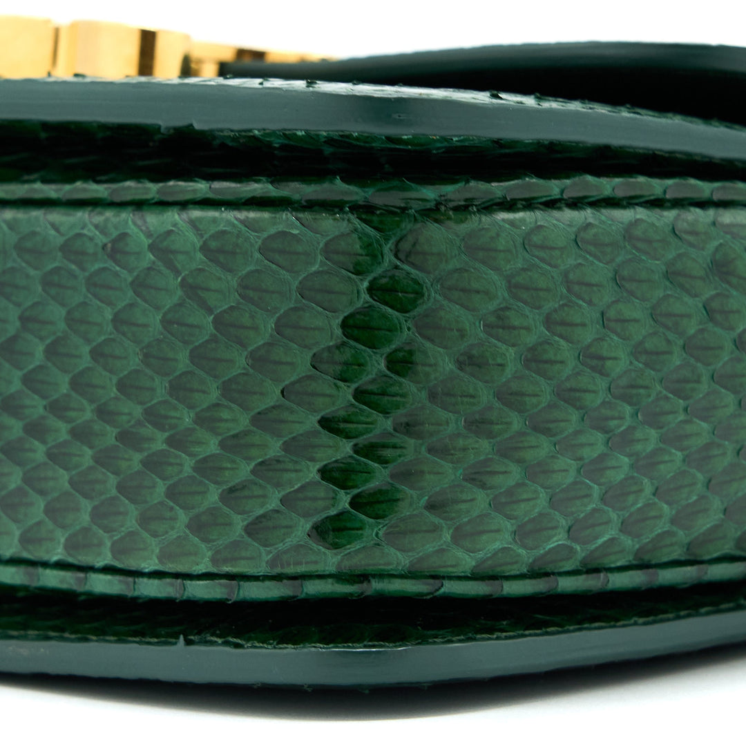 Top Quality Celine Triomphe Bag Water Snake Leather Green