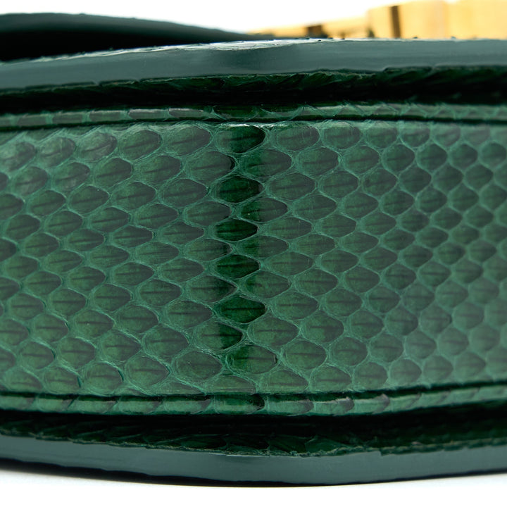 Top Quality Celine Triomphe Bag Water Snake Leather Green