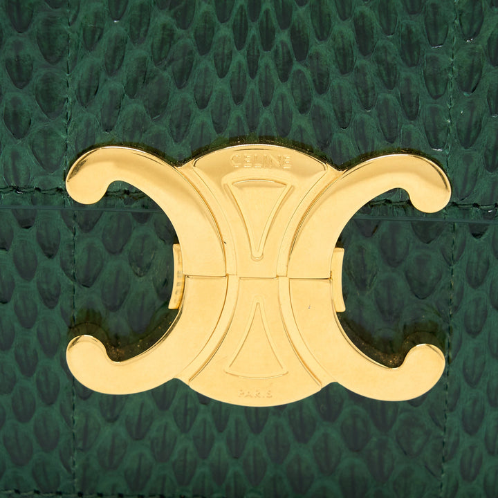 Top Quality Celine Triomphe Bag Water Snake Leather Green