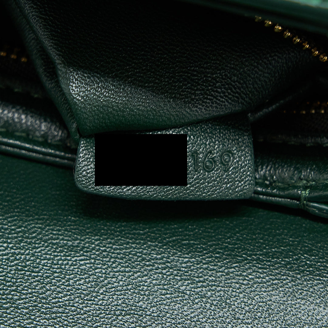 Top Quality Celine Triomphe Bag Water Snake Leather Green