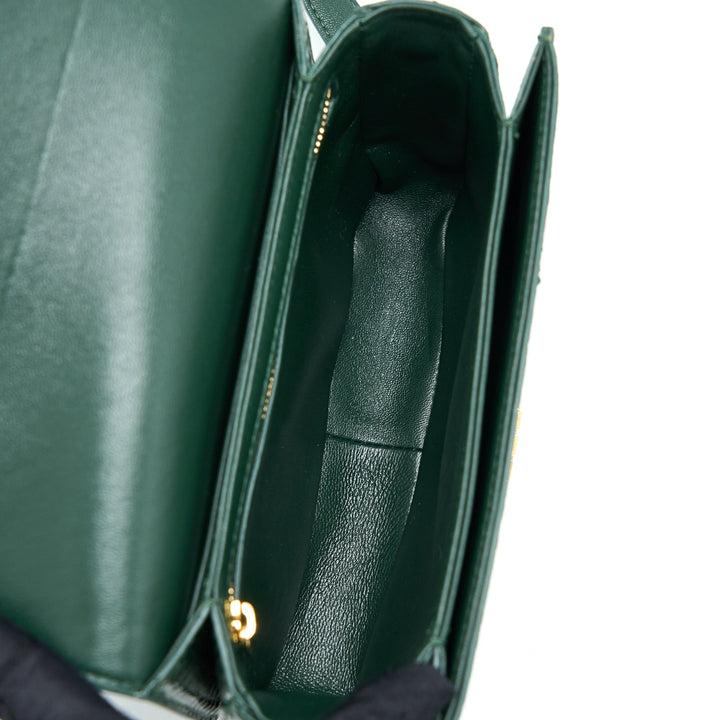 Top Quality Celine Triomphe Bag Water Snake Leather Green
