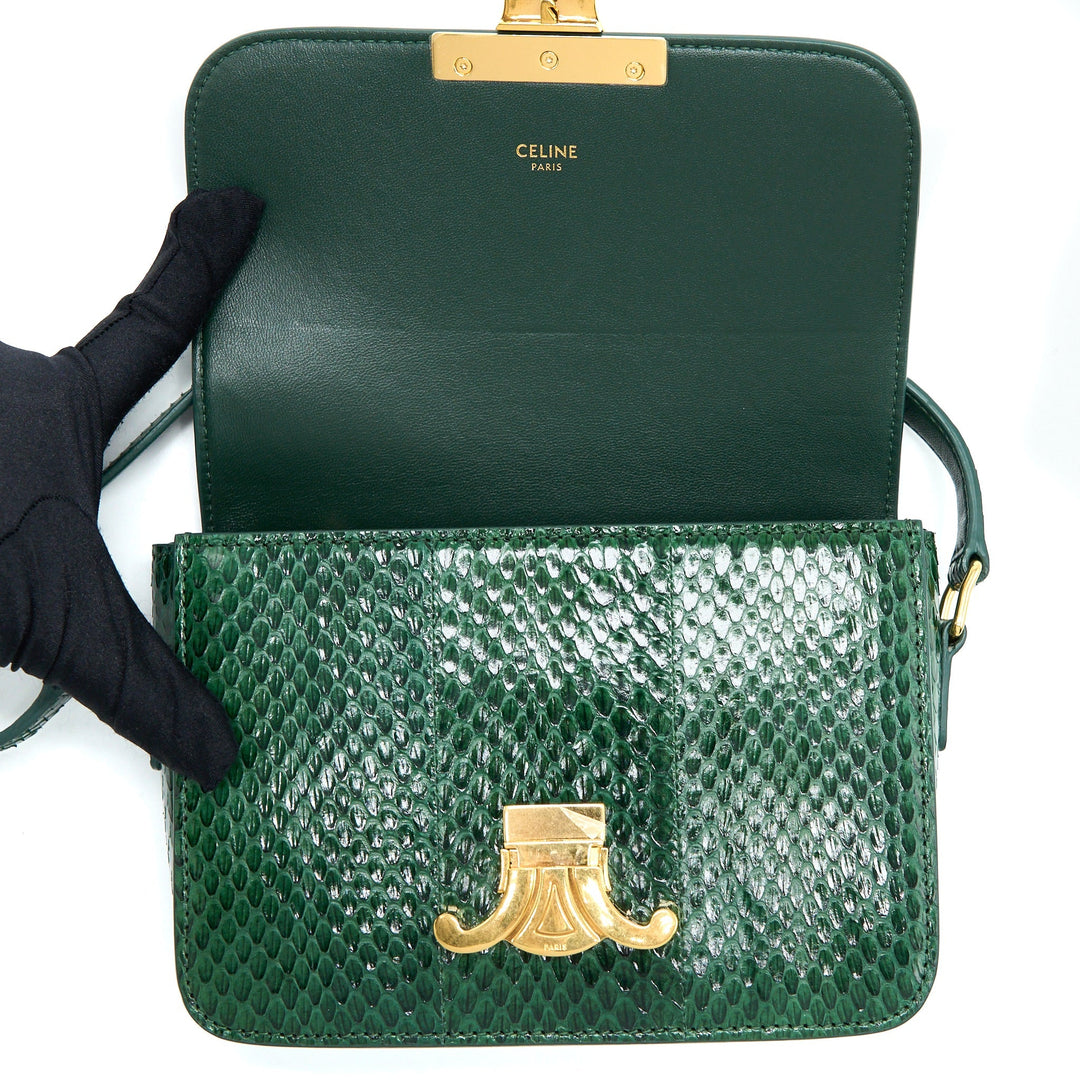 Top Quality Celine Triomphe Bag Water Snake Leather Green