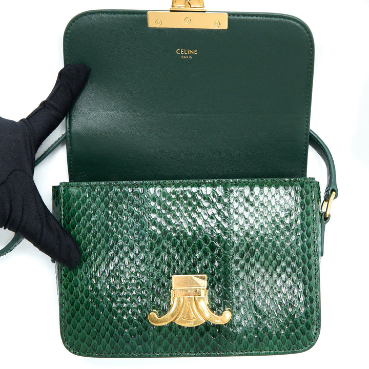 Top Quality Celine Triomphe Bag Water Snake Leather Green