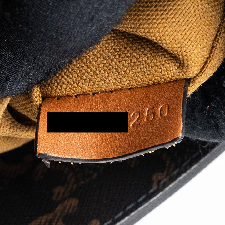 Top Quality Celine small cabas vertical triomphe canvas / calfskin tan