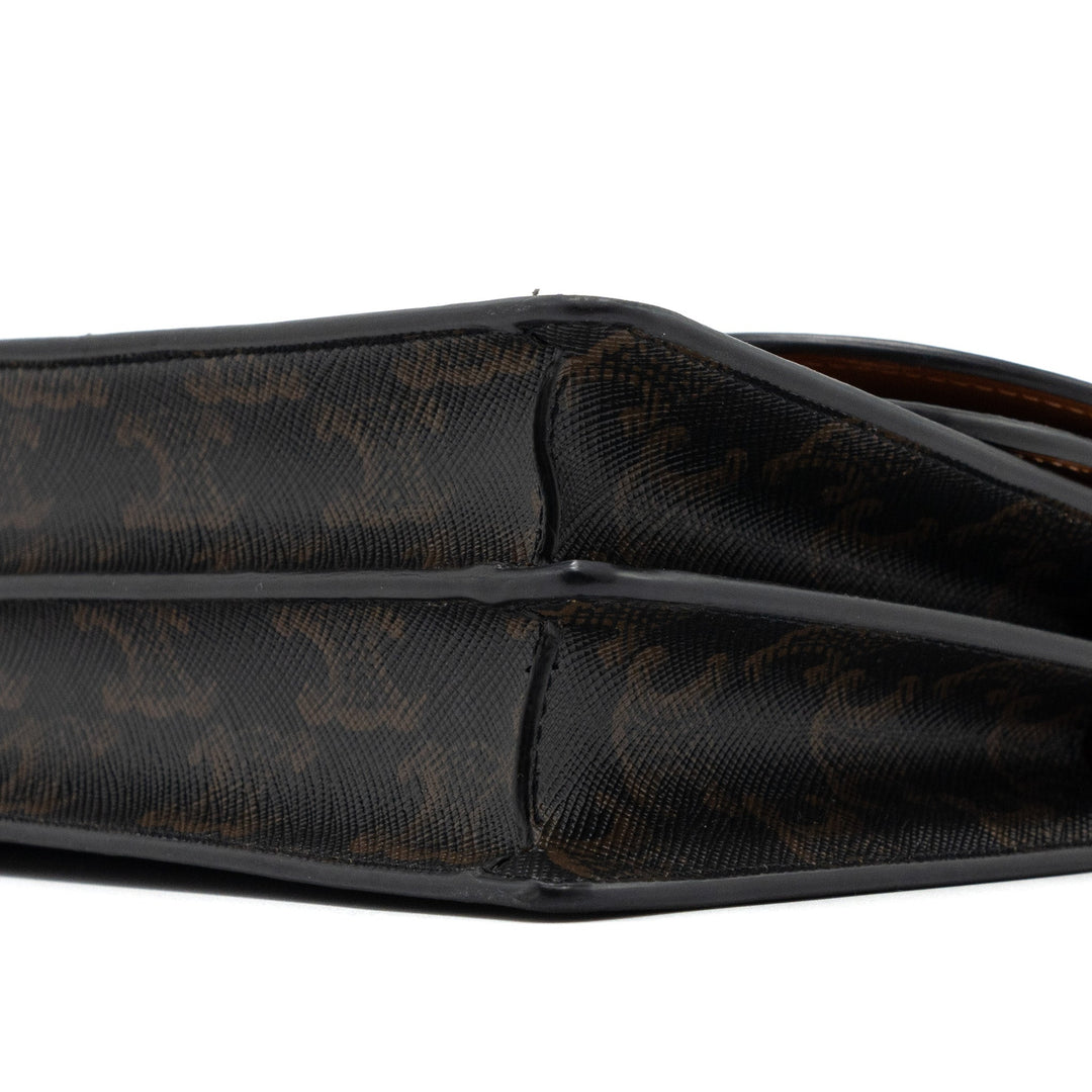 Celine Wallet On Strap Triomphe Canvas/Smooth Lambskin Tan