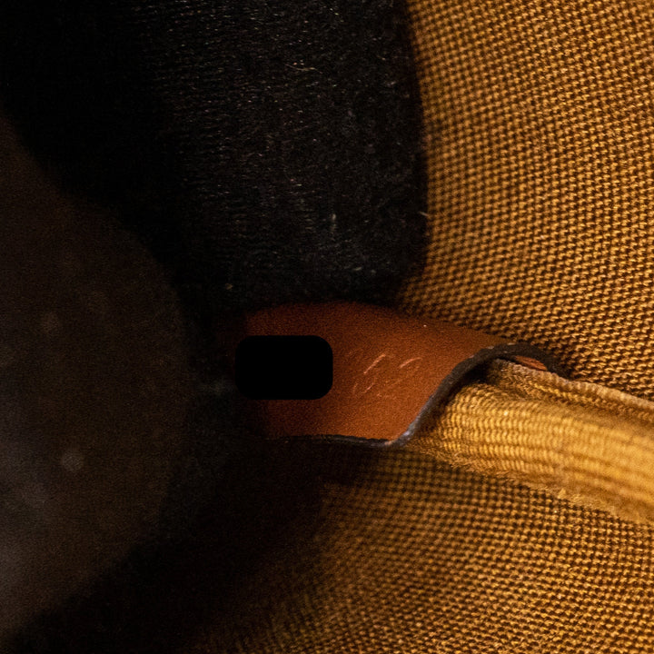 Celine Small Bucket Bag Triomphe Canvas/Calfskin Tan