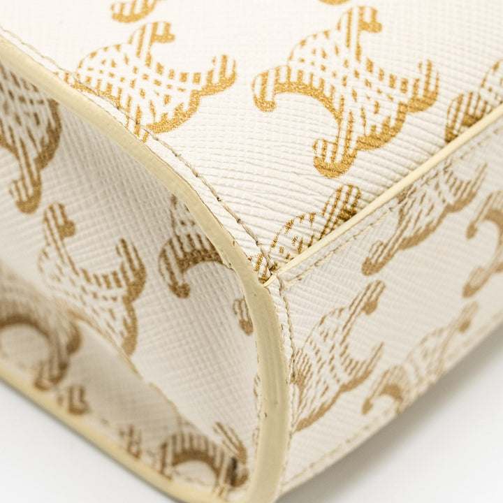 Celine Mini Vertical Cabas Triomphe Canvas/Calfskin white