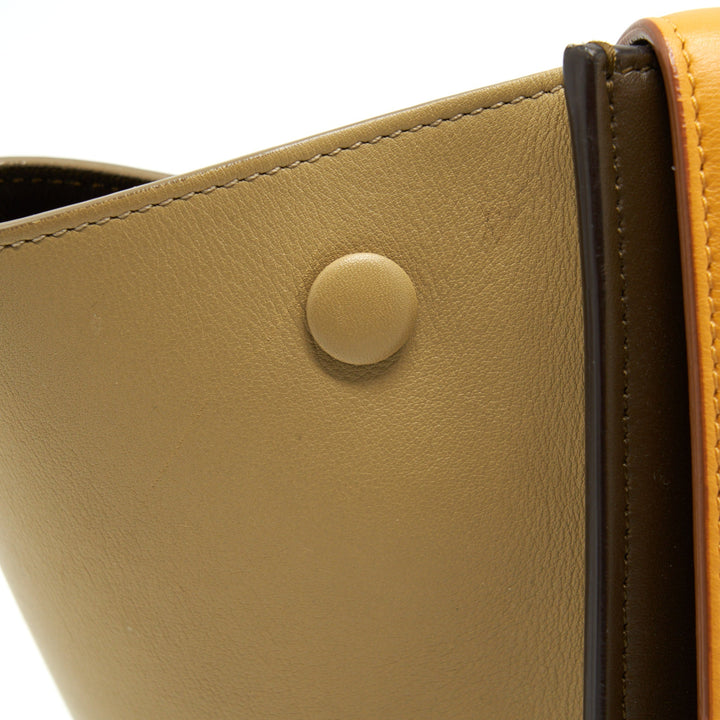 Top Quality Celine Trapeze Bag Multicolour