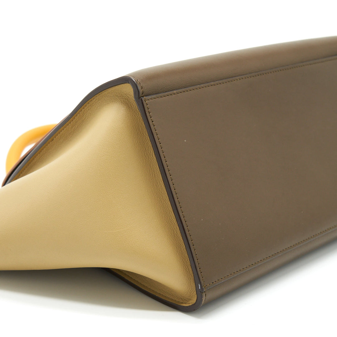 Top Quality Celine Trapeze Bag Multicolour