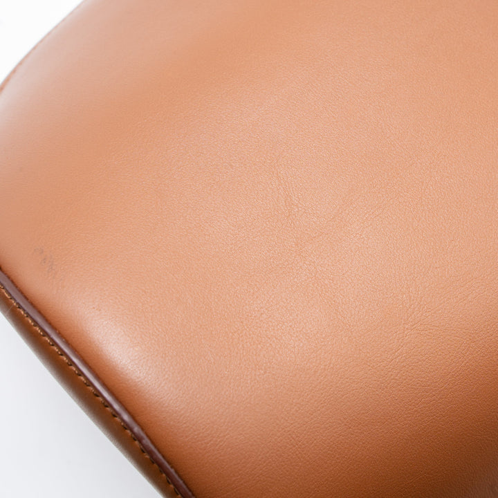 Celine Nano Bucket Bag Brown