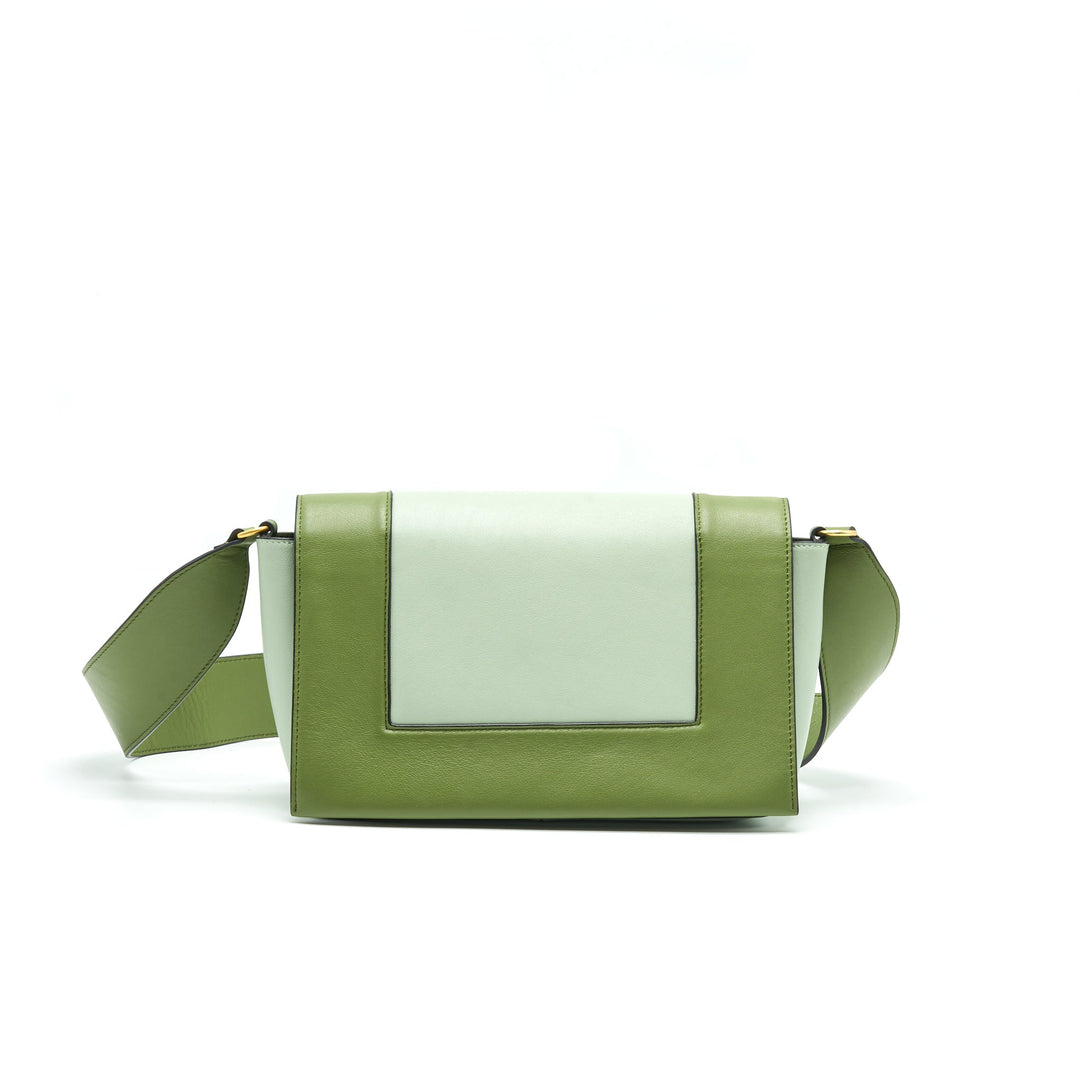 Top Quality Celine Frame Bag Shoulder Bag Green