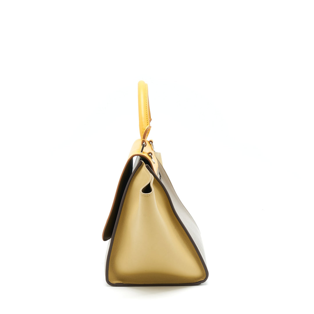Top Quality Celine Trapeze Bag Multicolour