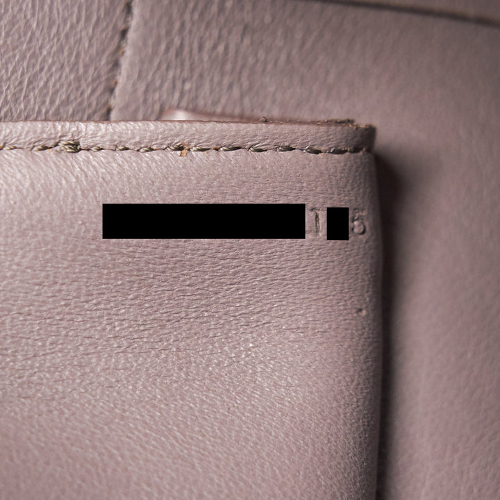 Celine MINI BELT BAG IN Grey & BLACK