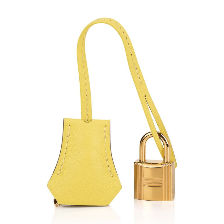 Top quality Hermes Birkin 25 Bag Lime Gold Hardware Swift Leather