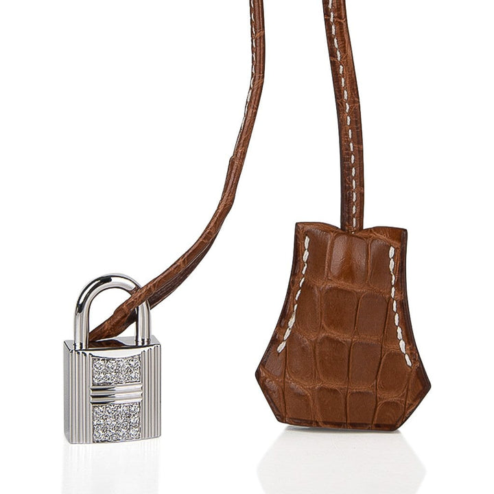 Top quality Hermes Diamond Birkin 35 Bag Fauve Barenia Matte Alligator Rare