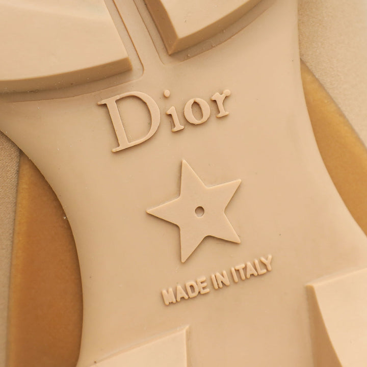 Christian Dior Nude D Connect Technical Fabric Sneaker 39