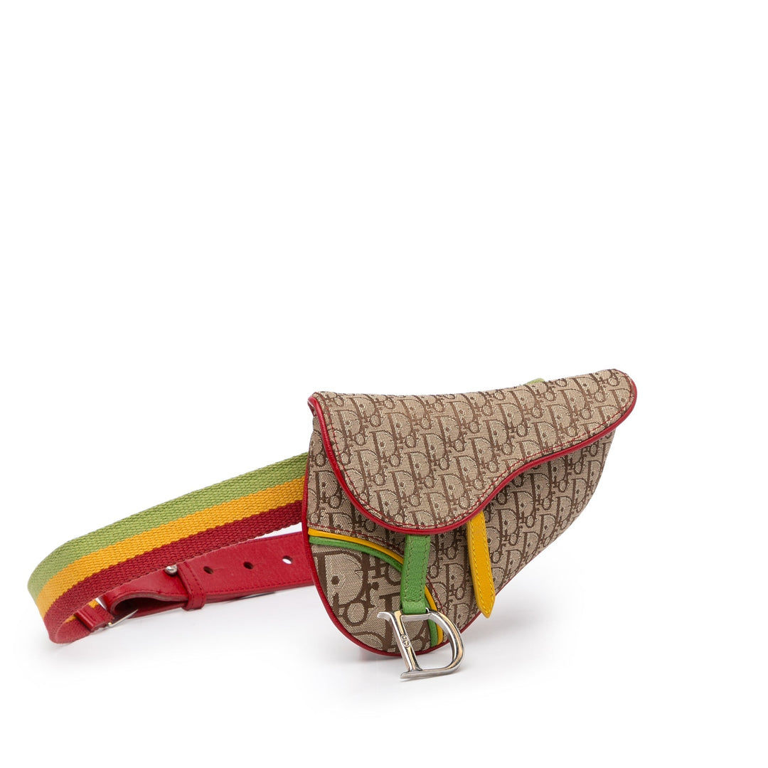 Top quality Dior Saddle Rasta Belt Bag Brown Oblique Canvas