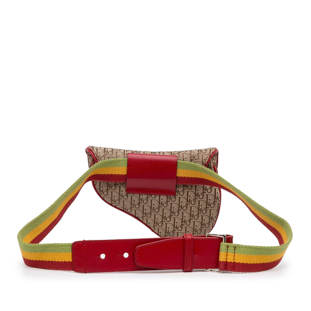 Top quality Dior Saddle Rasta Belt Bag Brown Oblique Canvas