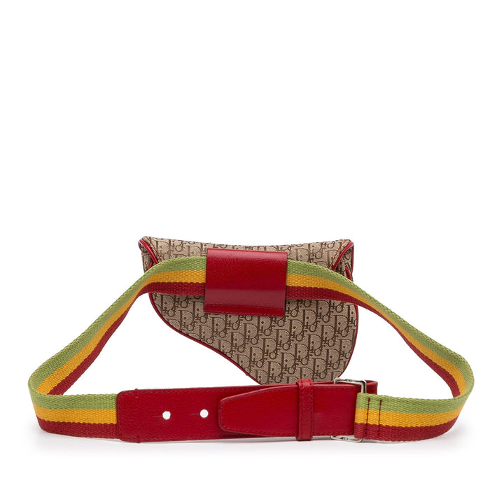 Top quality Dior Saddle Rasta Belt Bag Brown Oblique Canvas