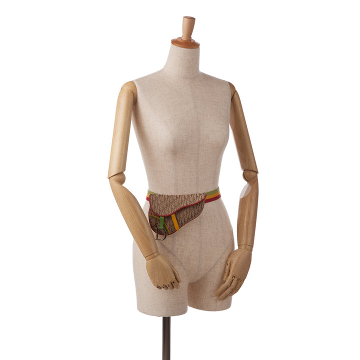 Top quality Dior Saddle Rasta Belt Bag Brown Oblique Canvas