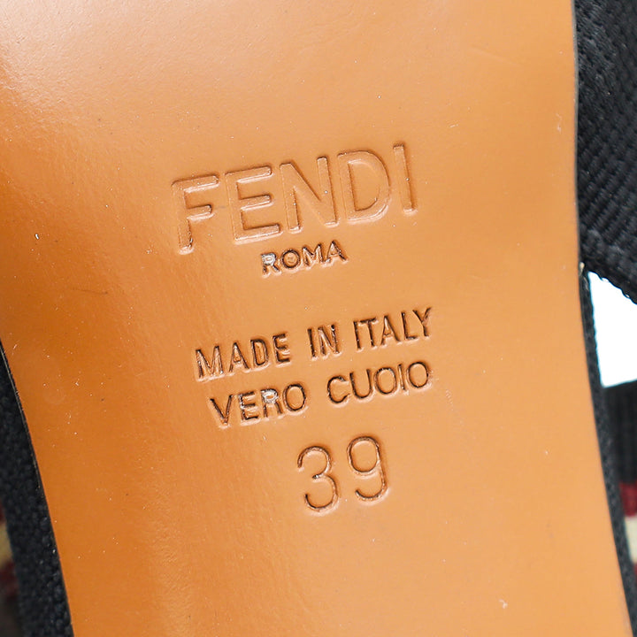Fendi Bicoloe FF Mesh Colibri Slingback Pump 39